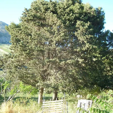 Antico Casale Siciliano 乡村民宿 Balata di Baida